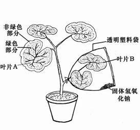 学科网(www.zxxk.com)--教育资源门户，提供试卷、教案、课件、论文、素材及各类教学资源下载，还有大量而丰富的教学相关资讯！