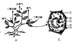 学科网(www.zxxk.com)--教育资源门户，提供试卷、教案、课件、论文、素材及各类教学资源下载，还有大量而丰富的教学相关资讯！