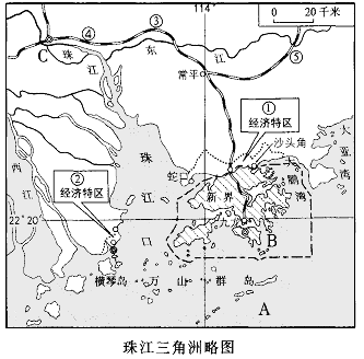 《面向海洋的开放地区——珠江三角洲》专题复习