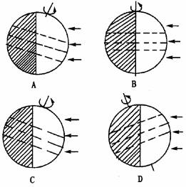 《第二节 地球的运动》练习
