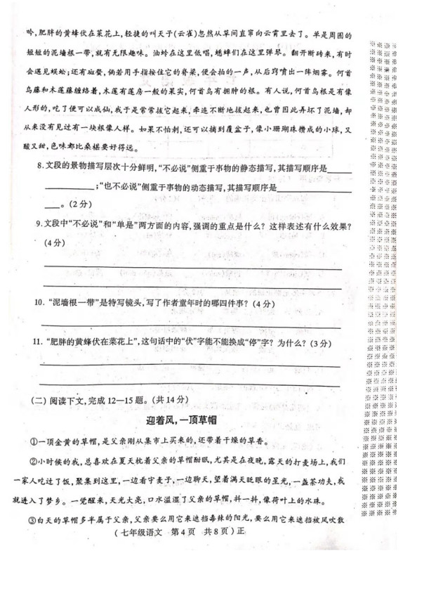 2019-2020河南驻马店七年级上册语文期中试题无答案（图片版）