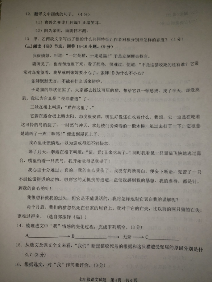 2019-2020山东峄城区七年级语文上册期末试题含答案（图片版）