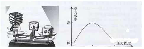 2019-2020七年级道德与法治上册期中测试卷含答案