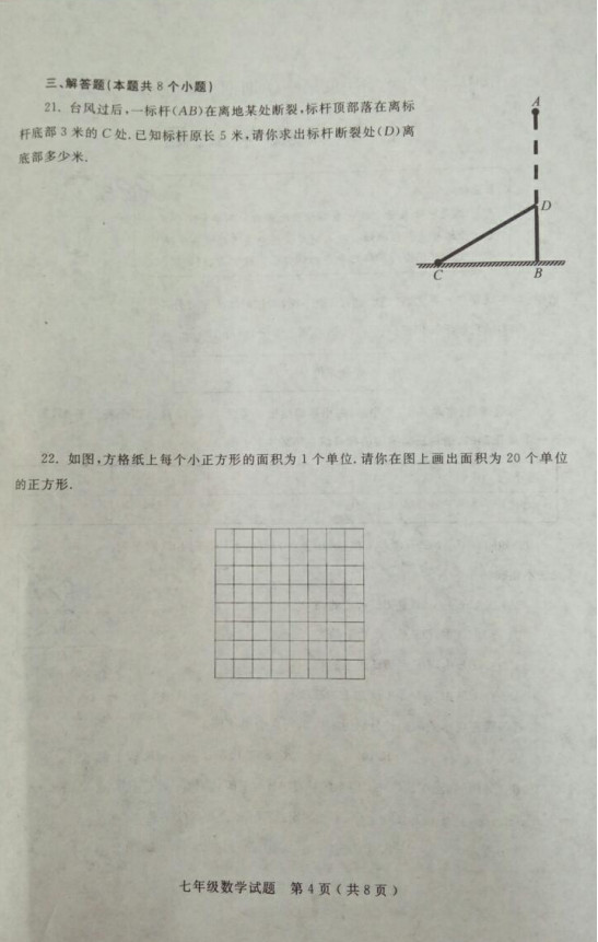 山东省莱州市2019-2020七年级数学上册期中联考试卷含答案（图片版）