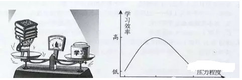 2019-2020七年级道德与法治上册期中试题含答案