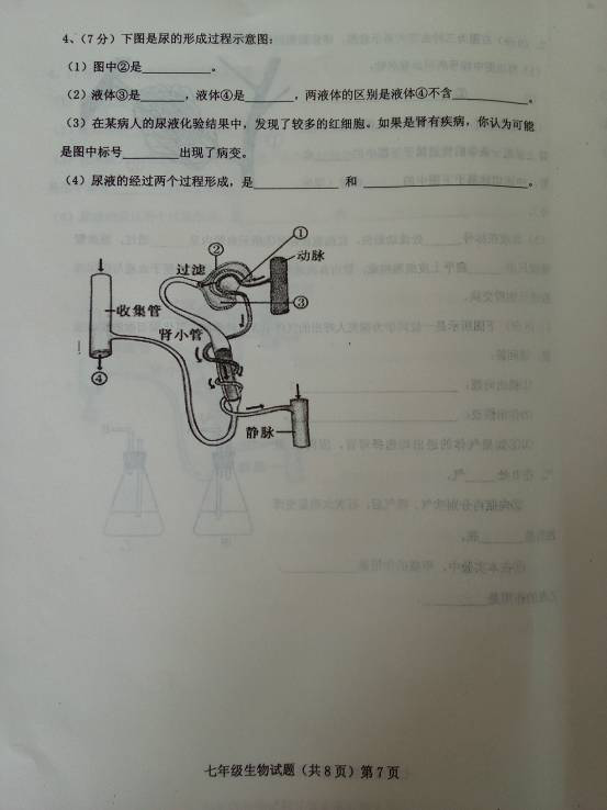 2017七年级生物期中测试卷带参考答案（文安县）