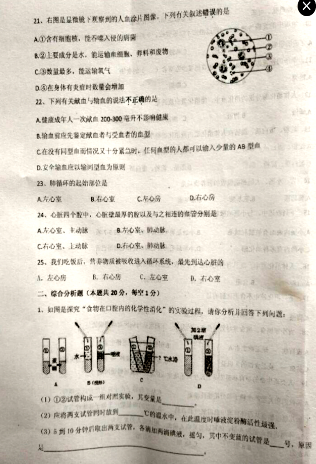 2017七年级生物期中试卷含参考答案(东台市)