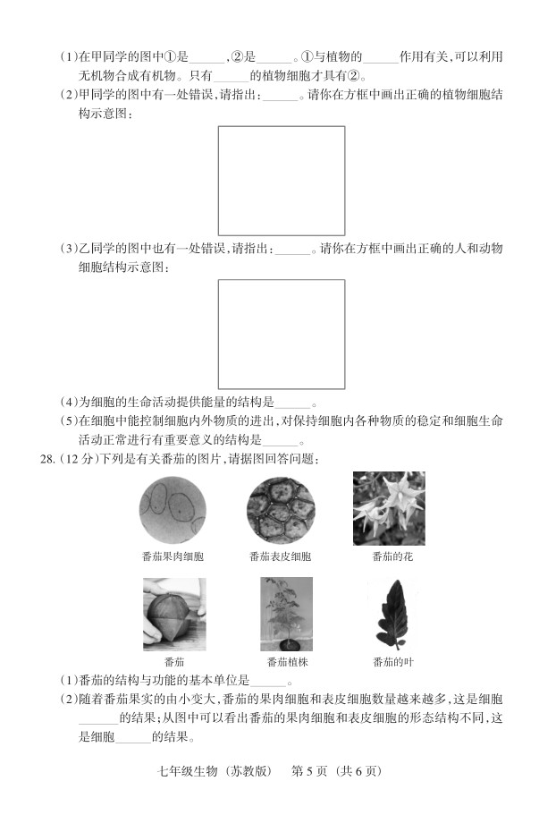 2019届山西七年级第二次大联考生物试题及答案（苏教版）