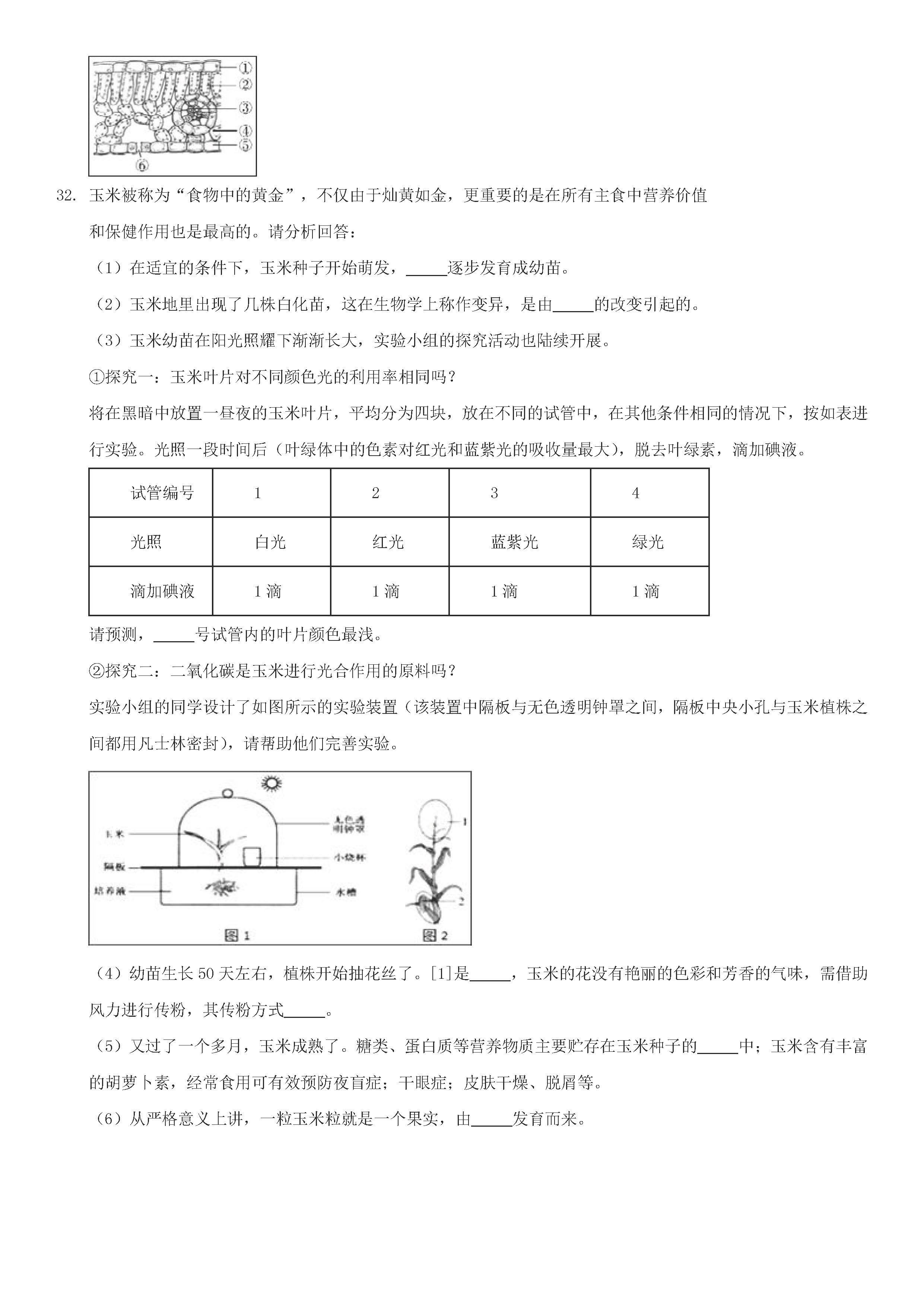 人教版2018-2019七年级生物上册期末测试题附答案