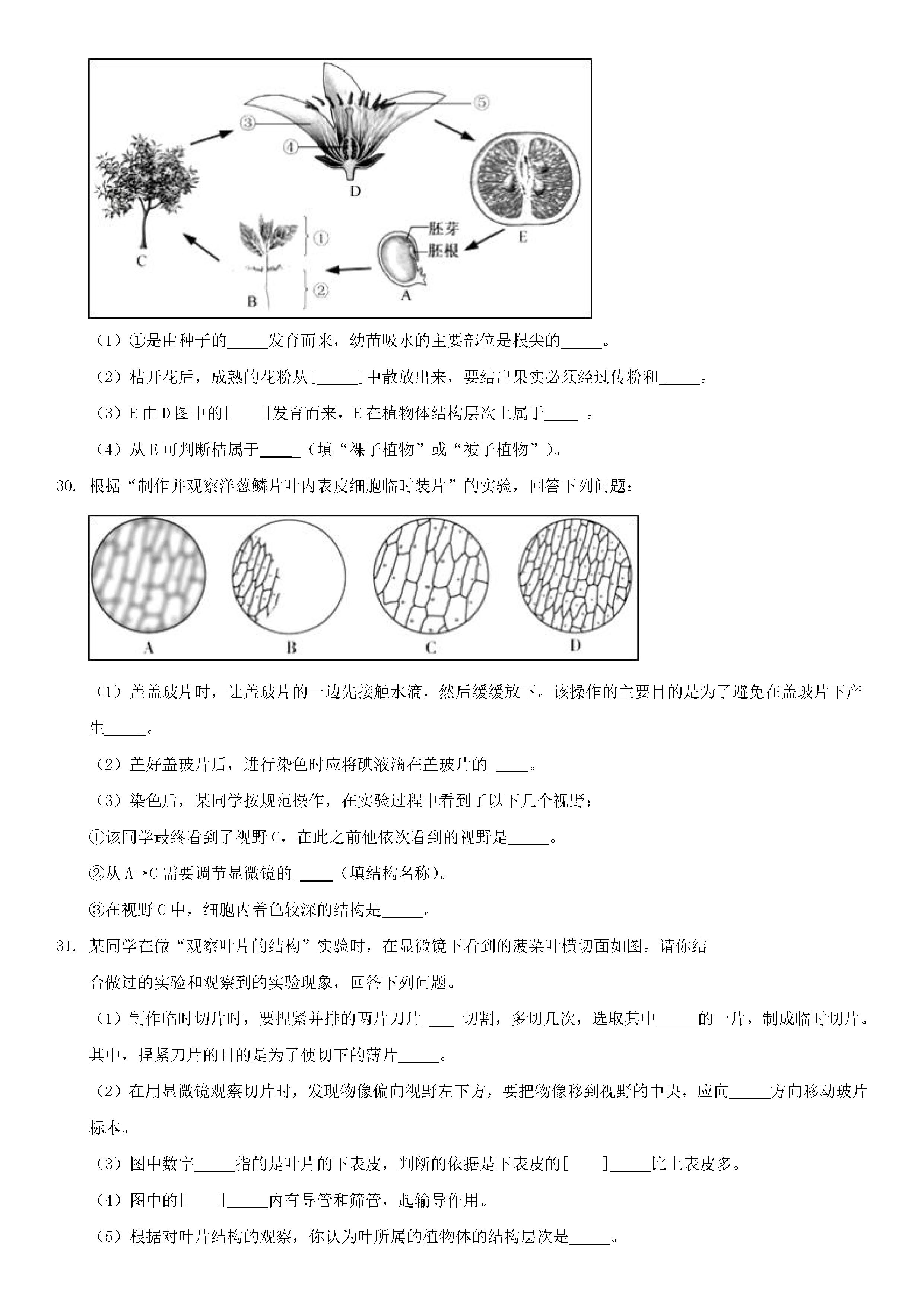 人教版2018-2019七年级生物上册期末测试题附答案