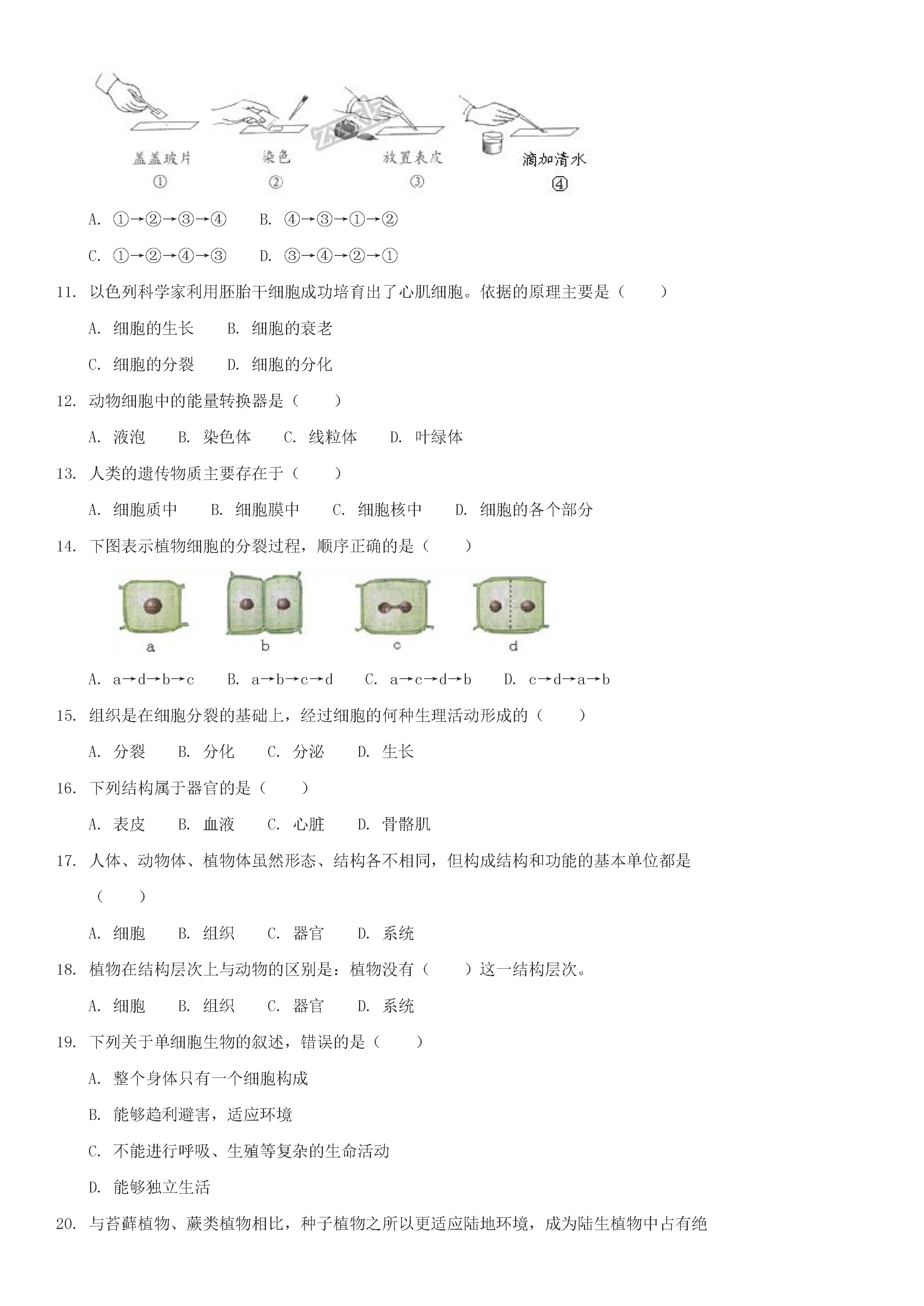 人教版2018-2019七年级生物上册期末试题含答案