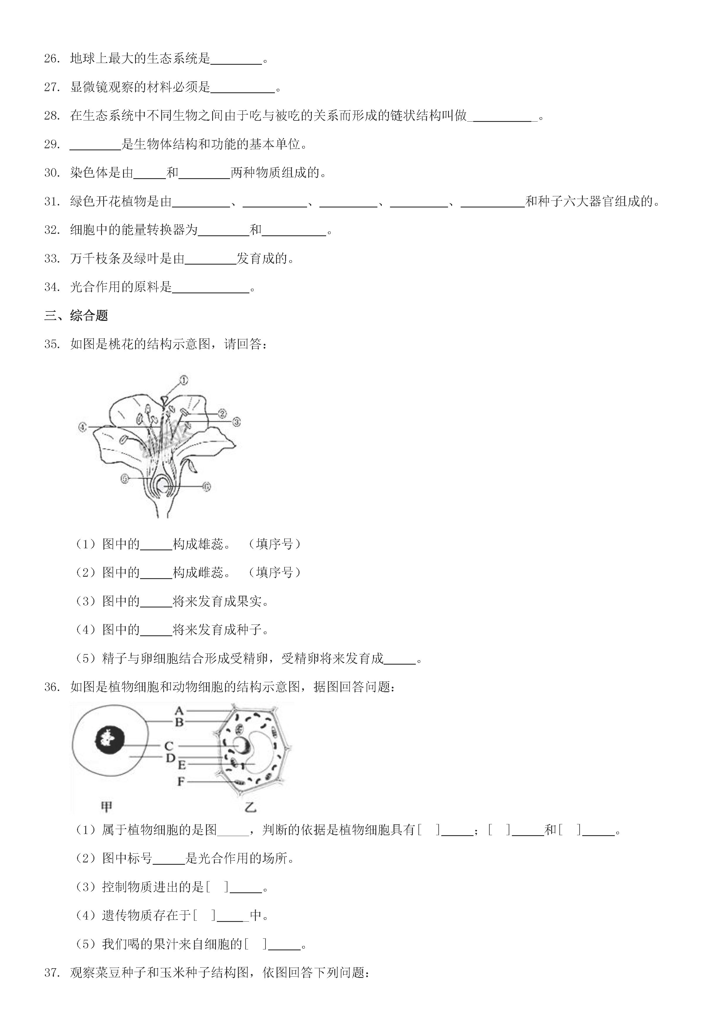 人教版2018-2019初一年级生物上册期末测试题附答案