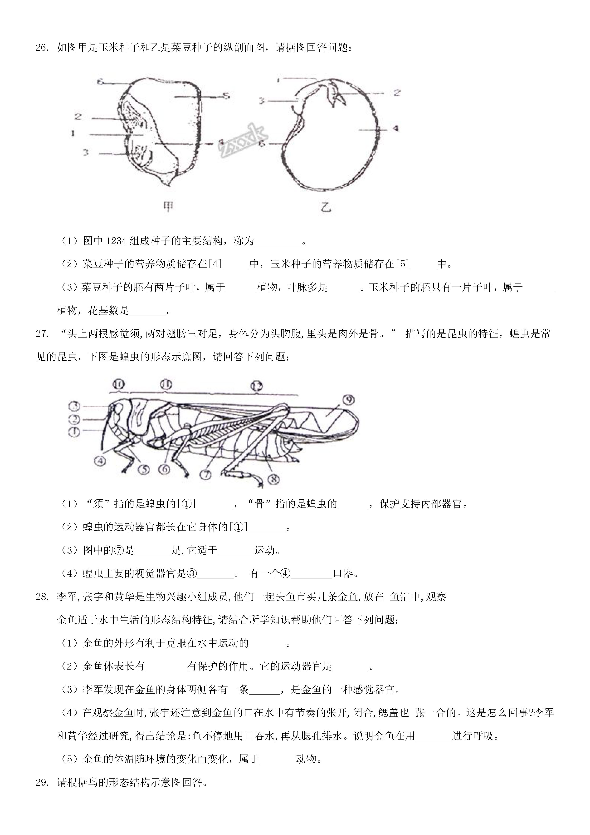 人教版2018-2019七年级生物上册期末测试题含参考答案