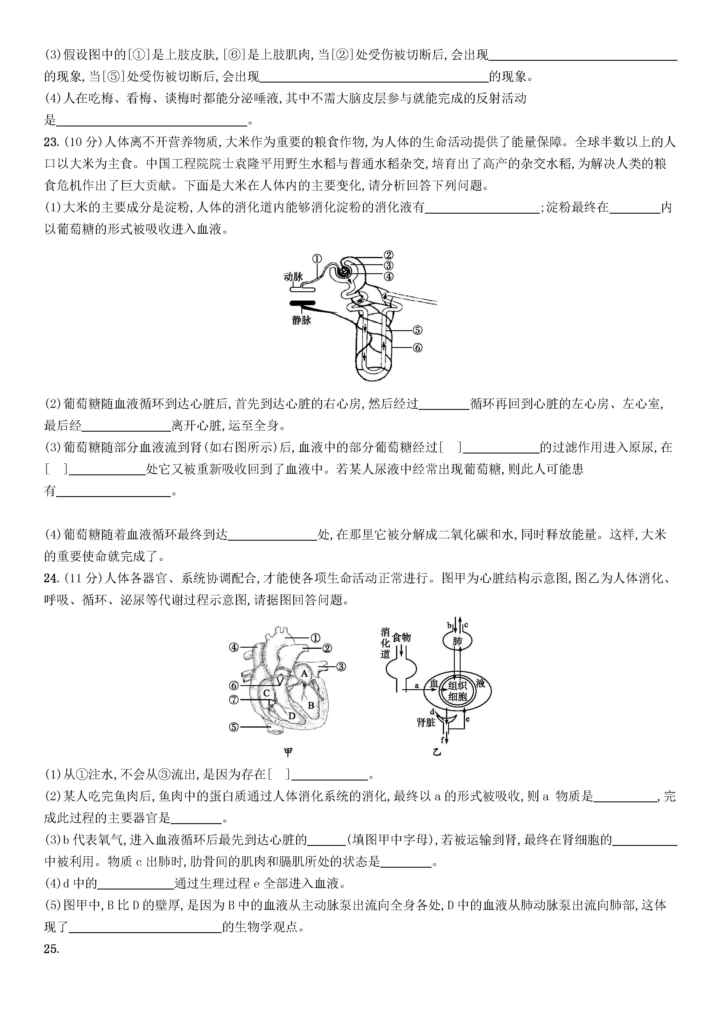 新人教版2018-2019七年级生物下册期末测试题附答案