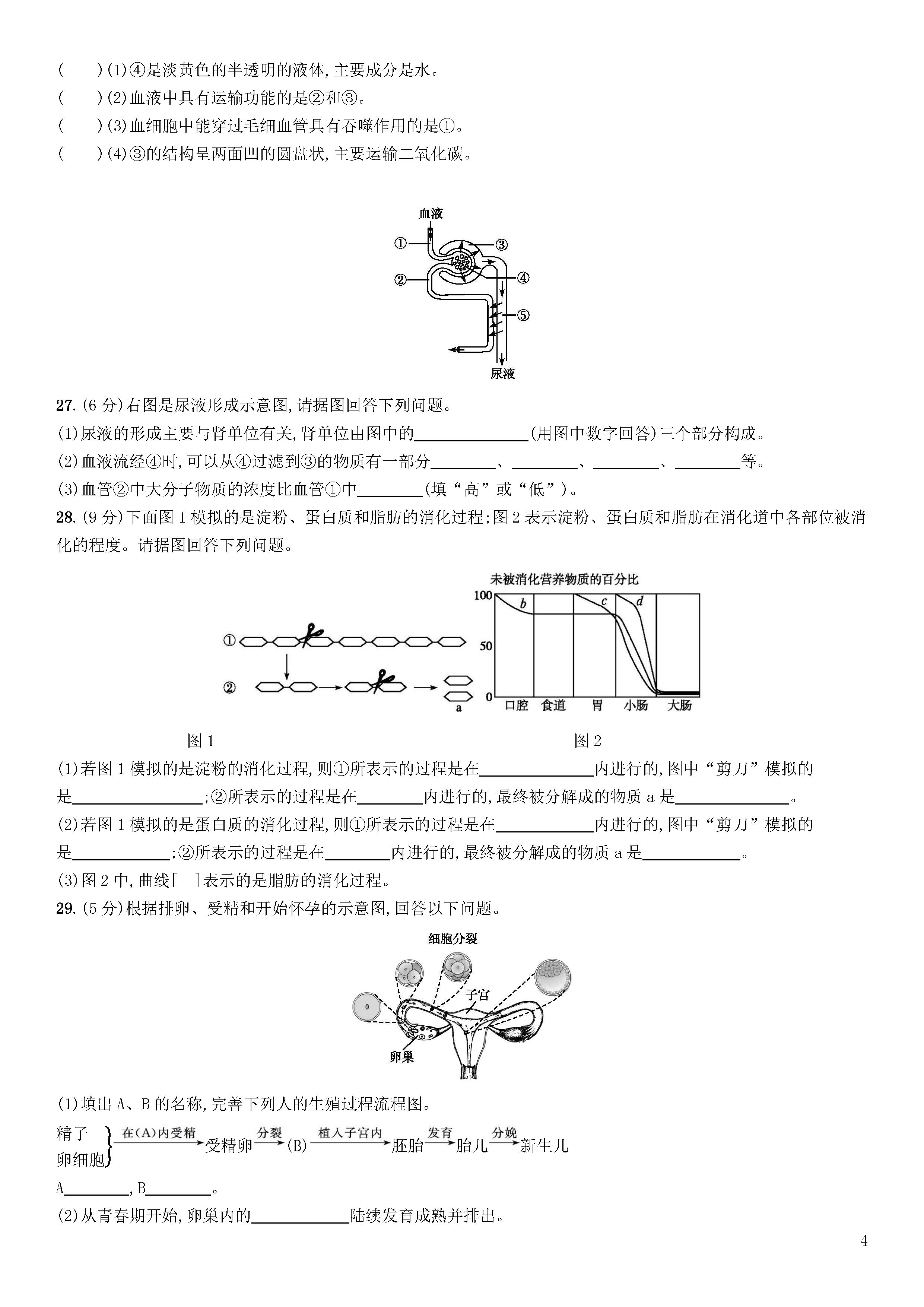 新人教版2018-2019七年级生物下册期末试题含答案