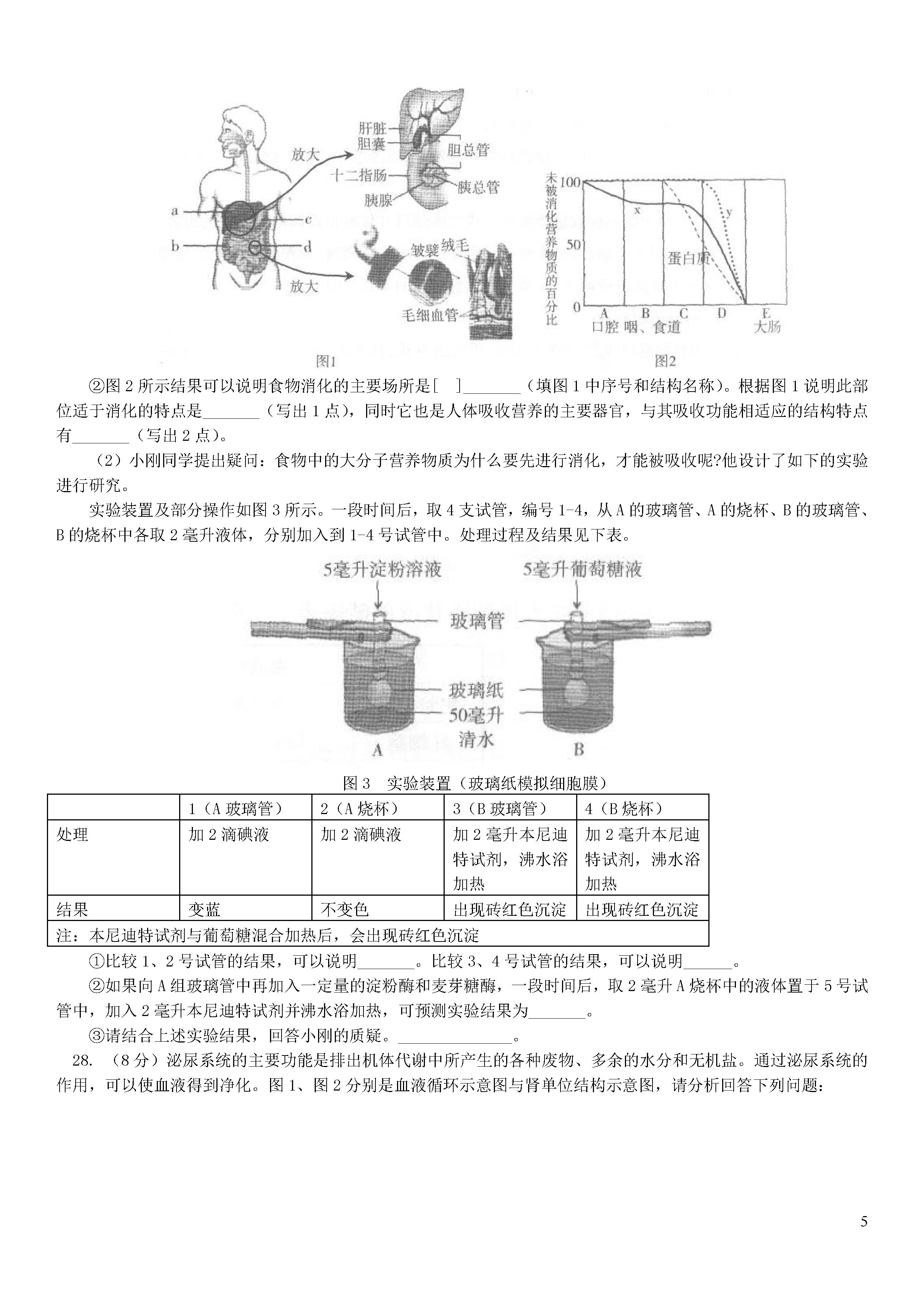 北京西城区2018-2019七年级生物下册期末测试题含答案