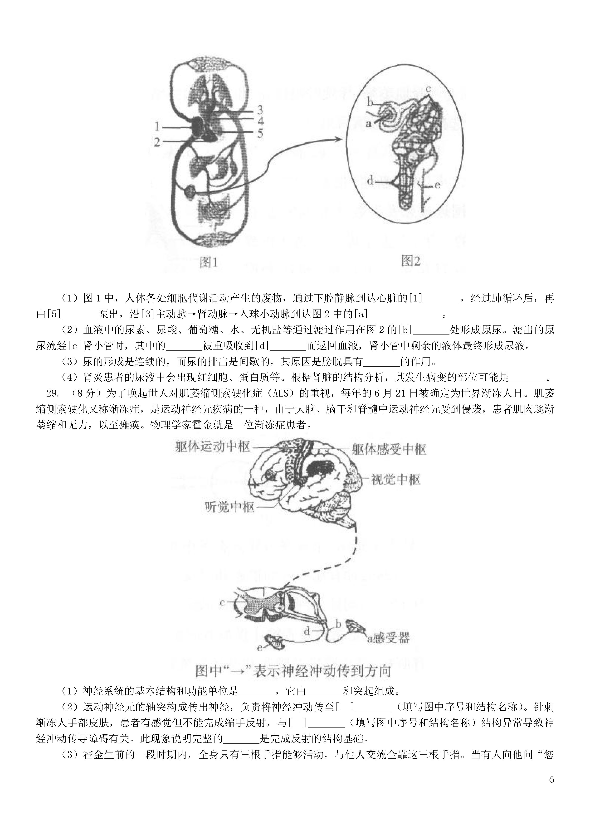 北京西城区2018-2019七年级生物下册期末测试题含答案