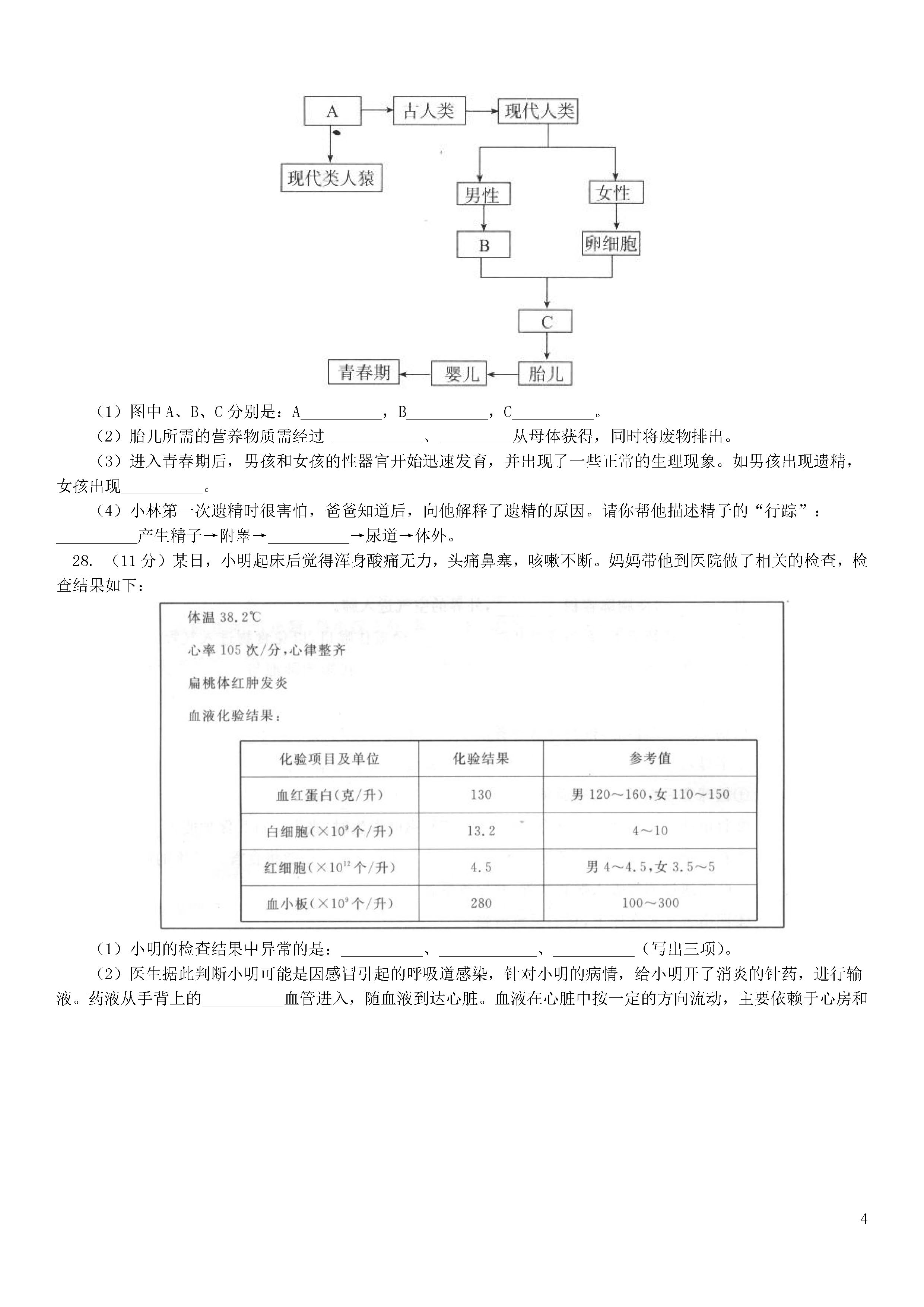 北京东城区2018-2019七年级生物下册期末测试题含答案