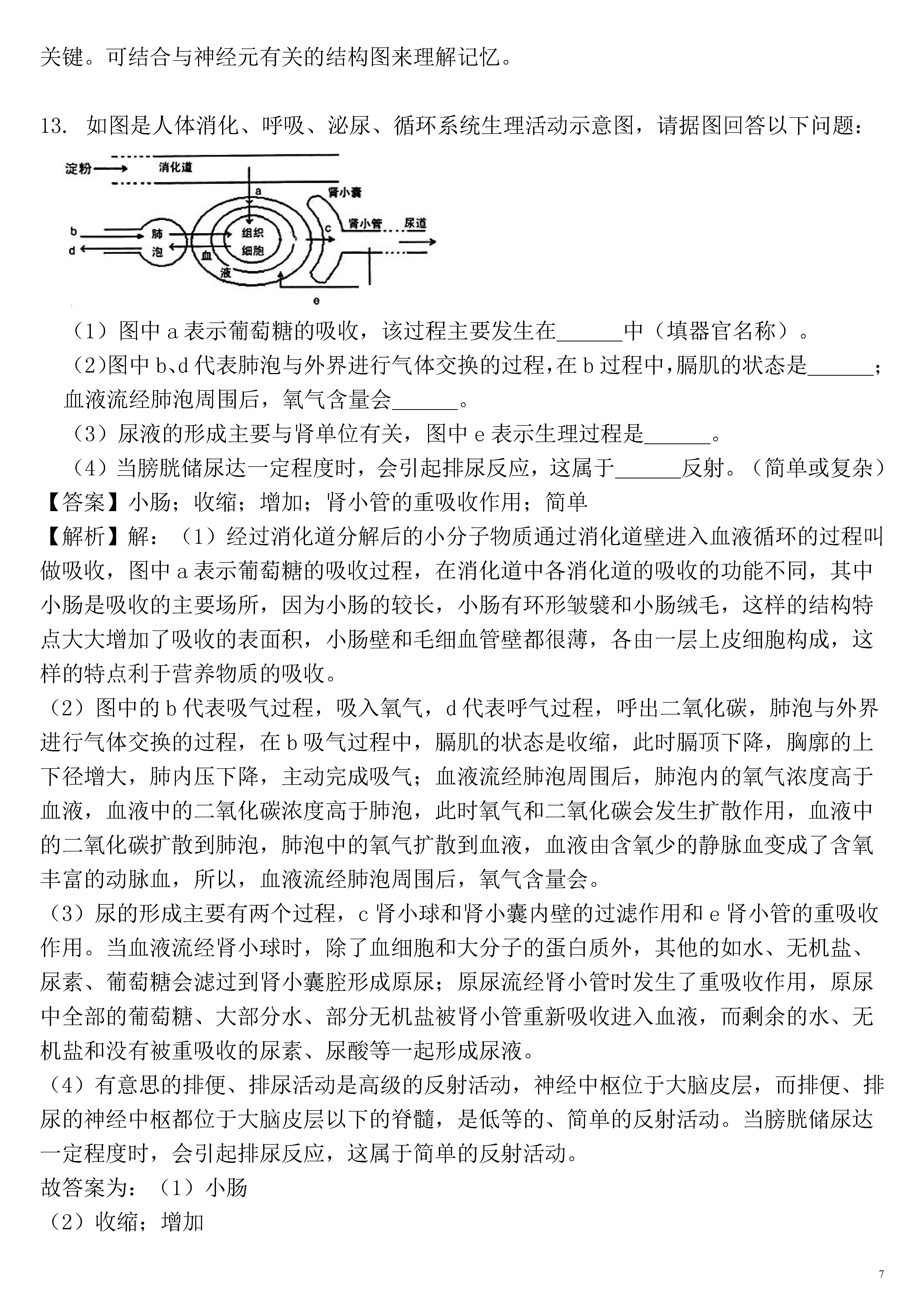 湖南省娄底市2018-2019七年级生物下册期末试题含解析