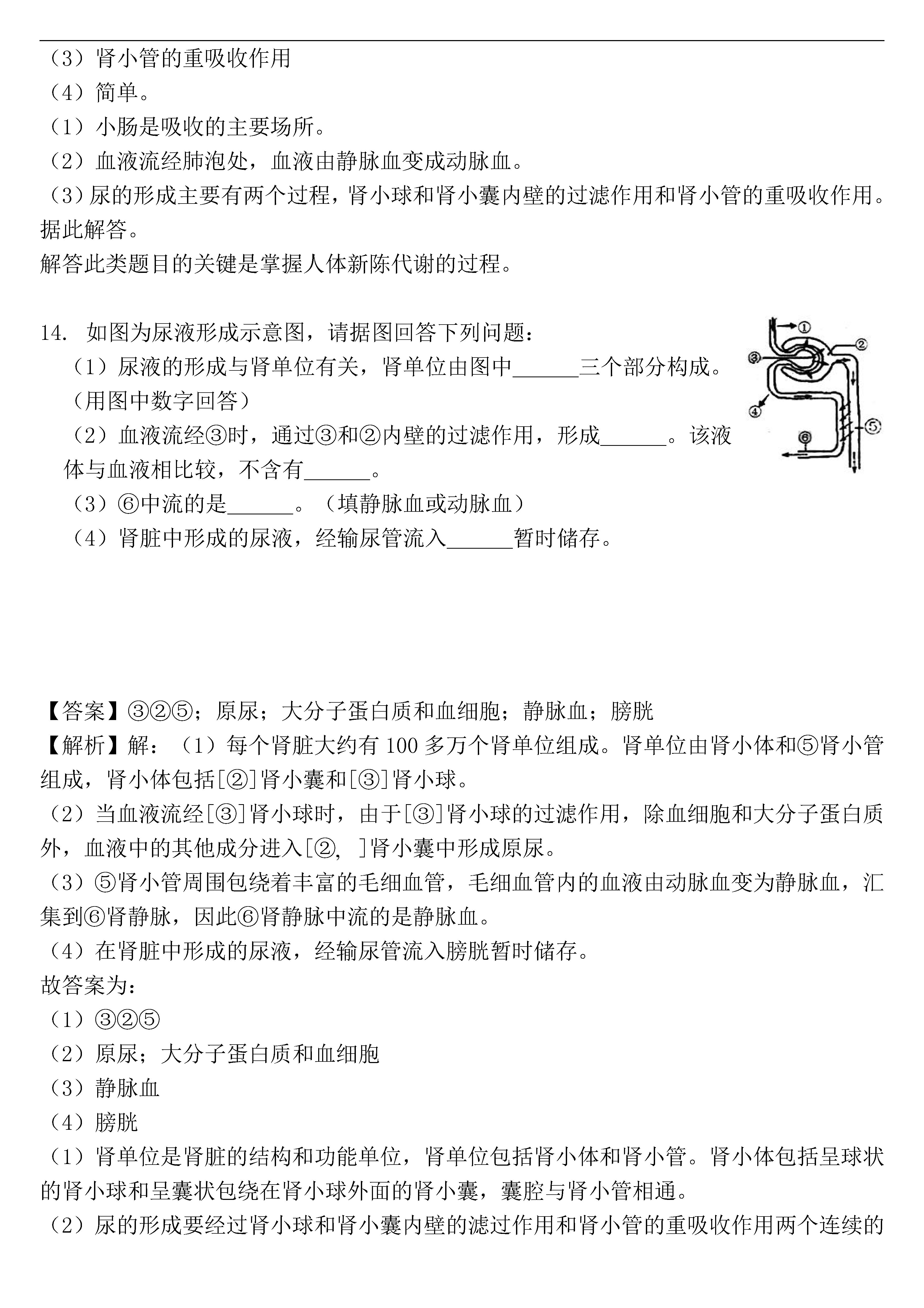 湖南省娄底市2018-2019七年级生物下册期末试题含解析