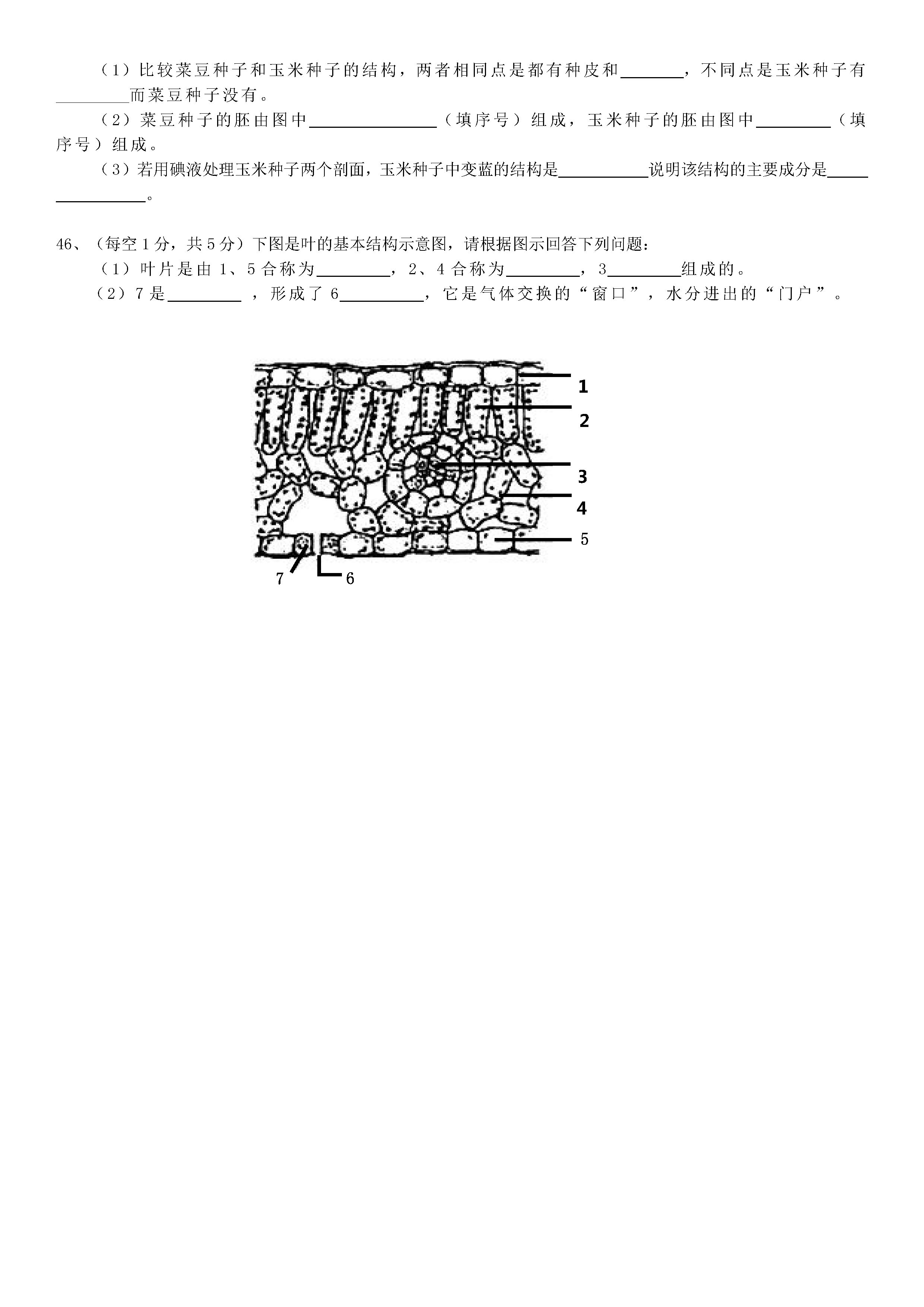 2018-2019初一年级生物上册期末测试题含答案