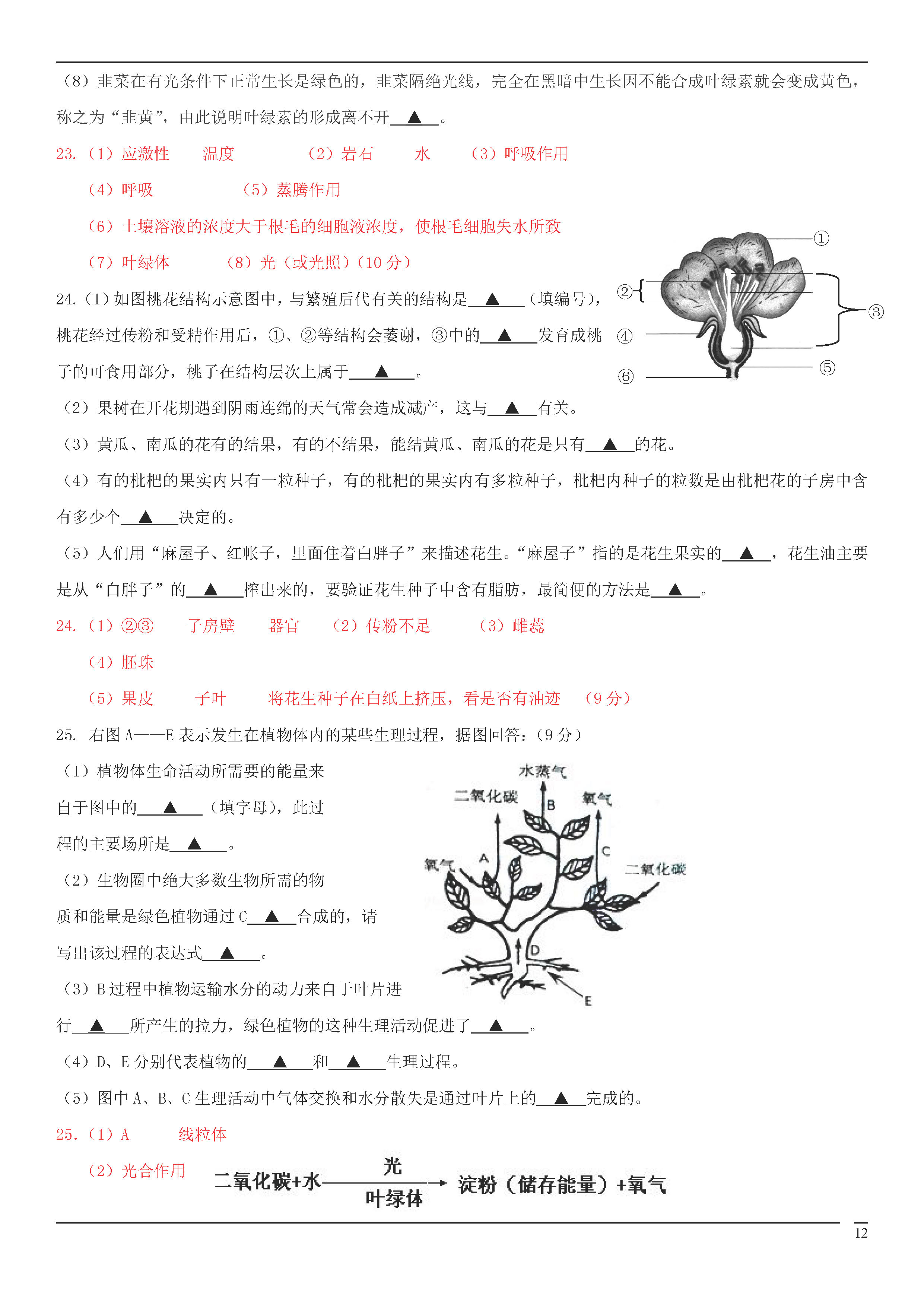 北师大版2018-2019初一年级生物上册期末测试题含答案