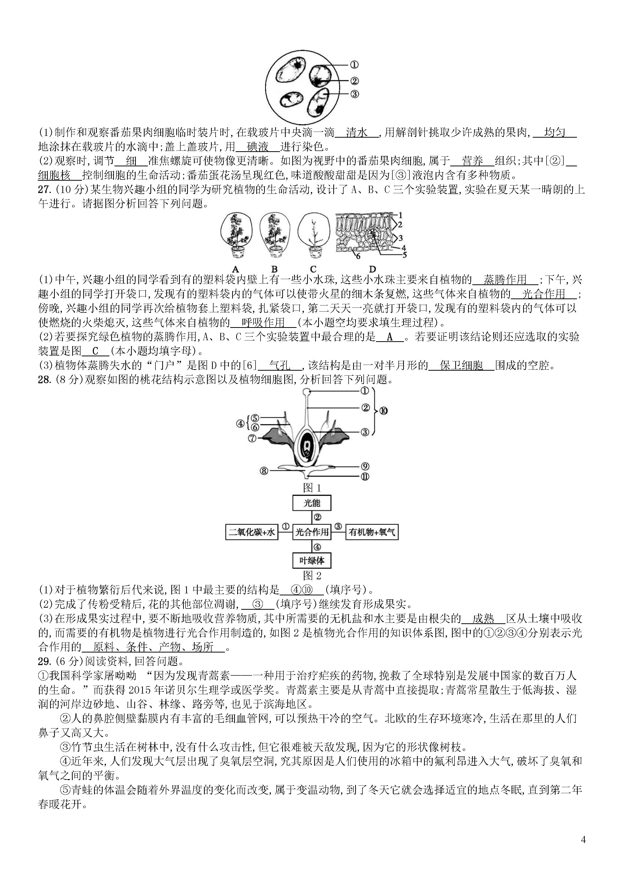 北师大版2018-2019七年级上册生物期末测试题附答案