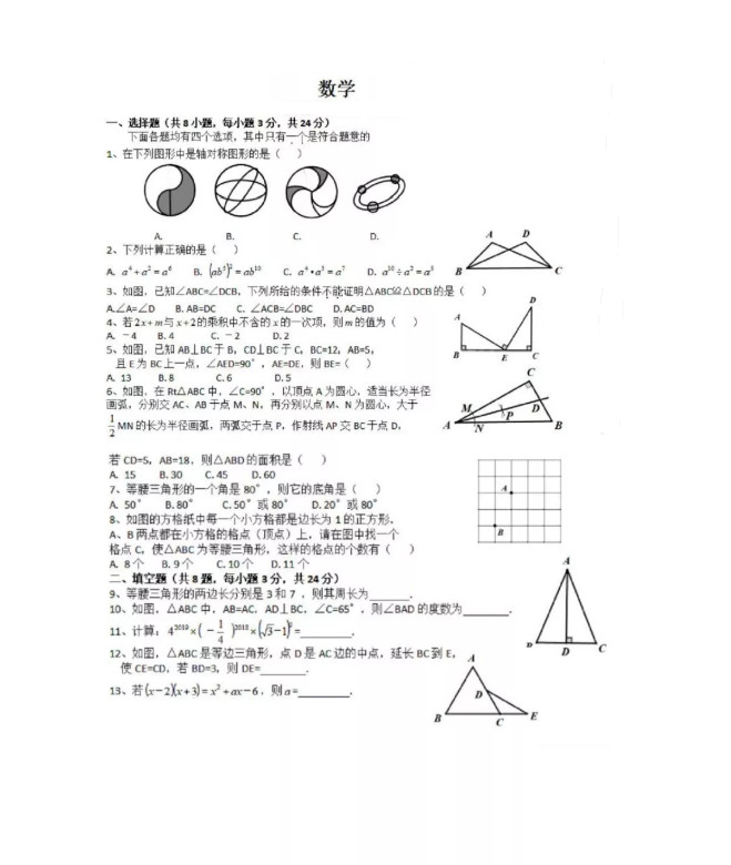 2019-2020清华附中八年级数学上册期中测试卷无答案