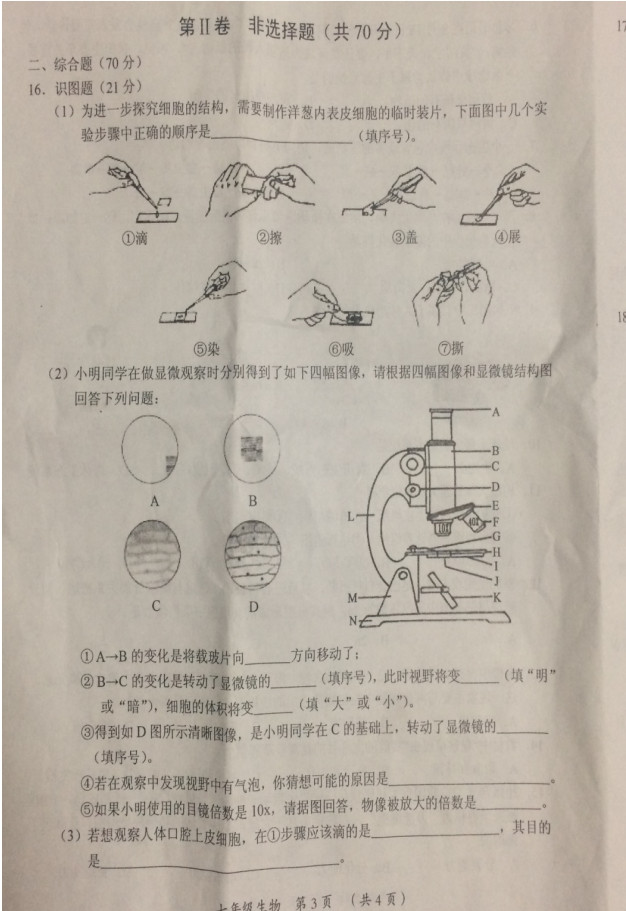 2019-2020山西省大同市七年级生物上册期中试题含答案（图片版）