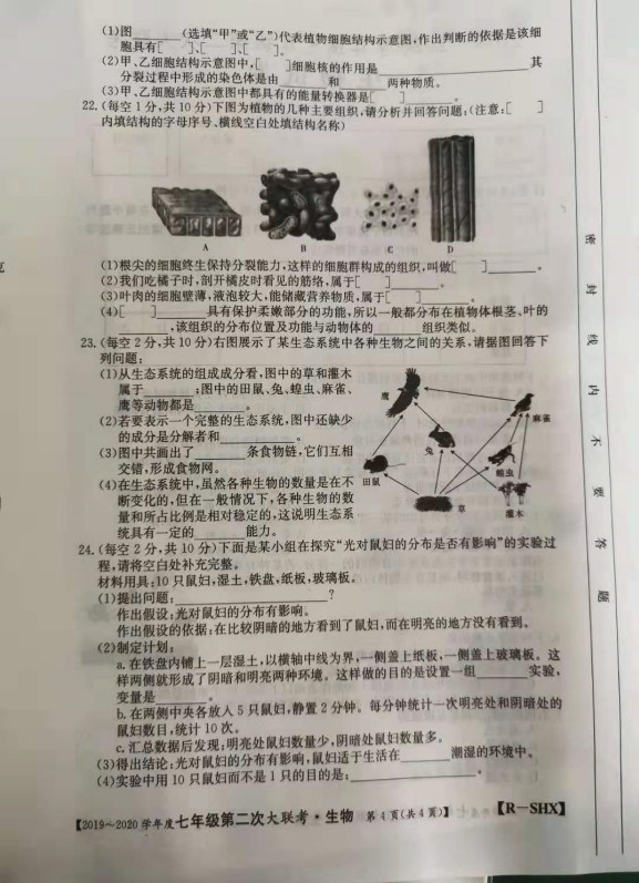 2019-2020山西兴县圪达上中学七年级生物上册期中试题含答案