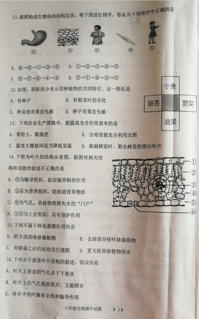 济宁市嘉祥县2019-2020七年级生物上册期中试题无答案（图片版）