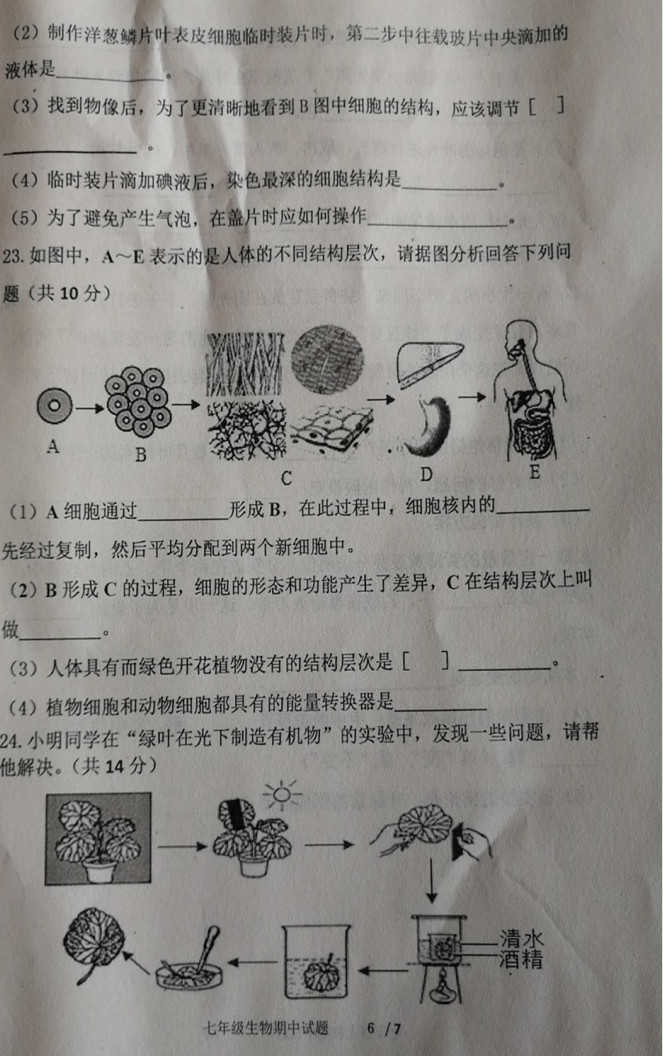 济宁市嘉祥县2019-2020七年级生物上册期中试题无答案（图片版）