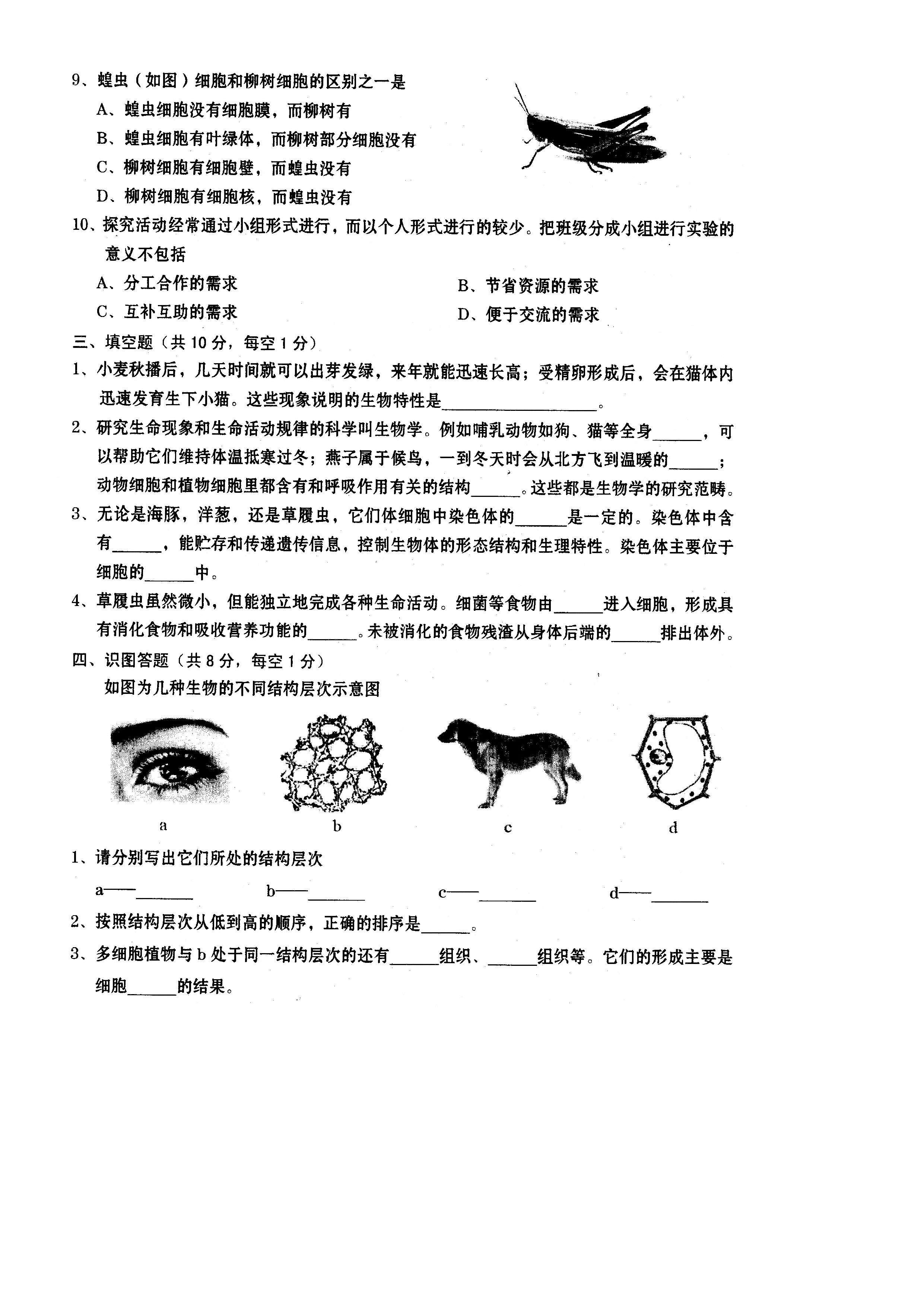 山西运城市稷山县2019-2020七年级生物上册期中试题含答案