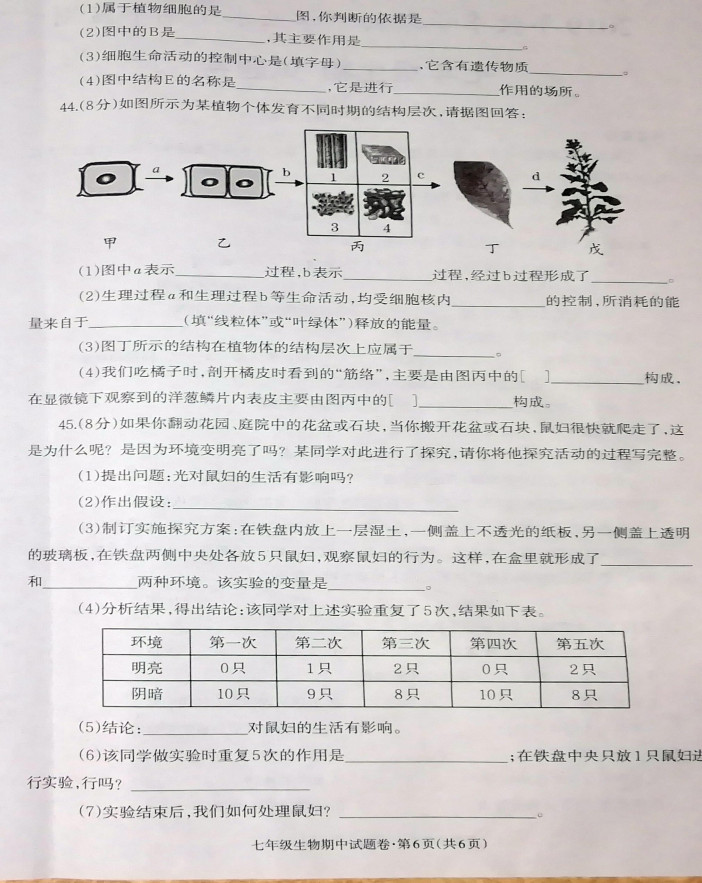 云南昭通市昭阳区2019-2020七年级生物上册期中试题含答案（图片版）