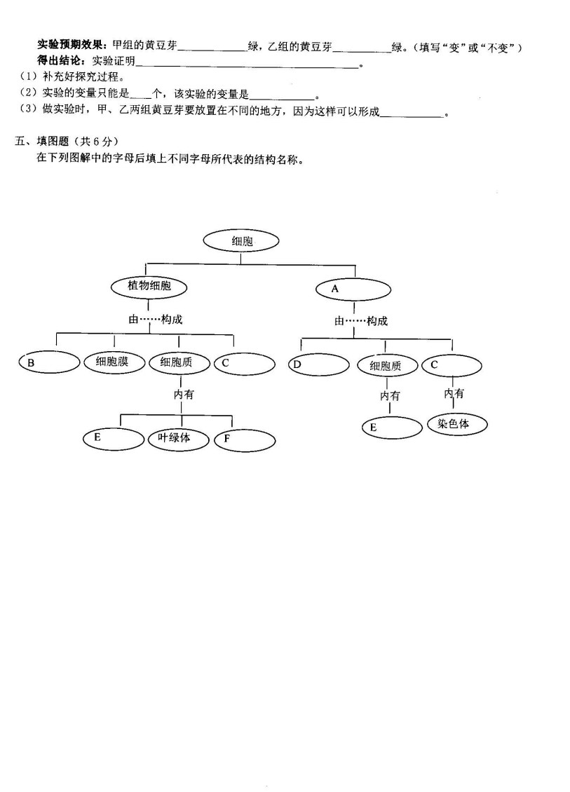 2019-2020广东省韶关市七年级生物上册期中试题含答案