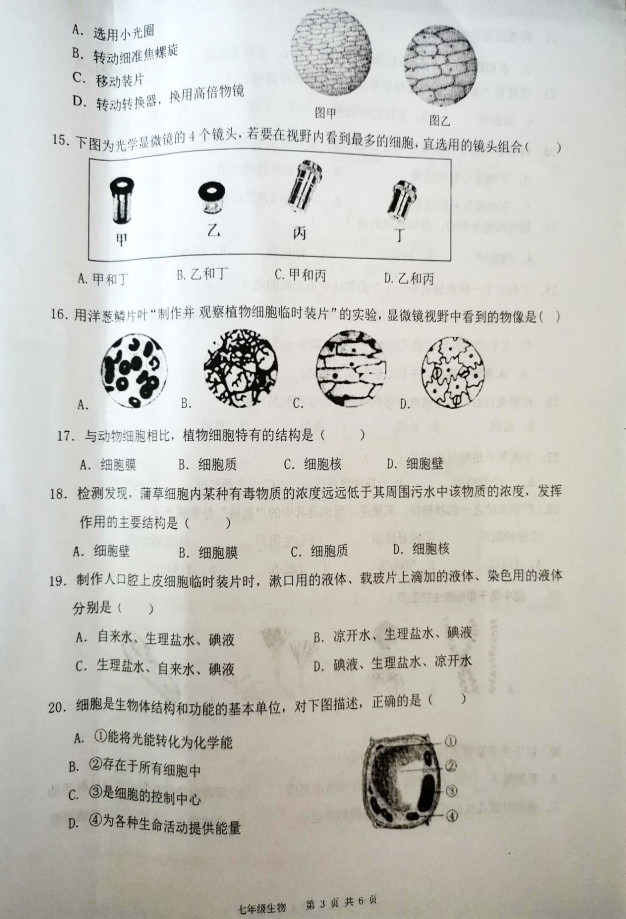 广东省东莞市2019-2020七年级生物上册期中联考试题含答案