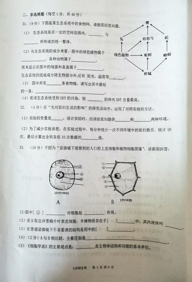 广东省东莞市2019-2020七年级生物上册期中联考试题含答案