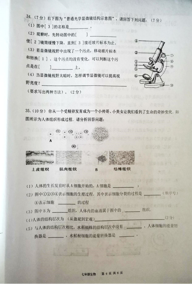 广东省东莞市2019-2020七年级生物上册期中联考试题含答案