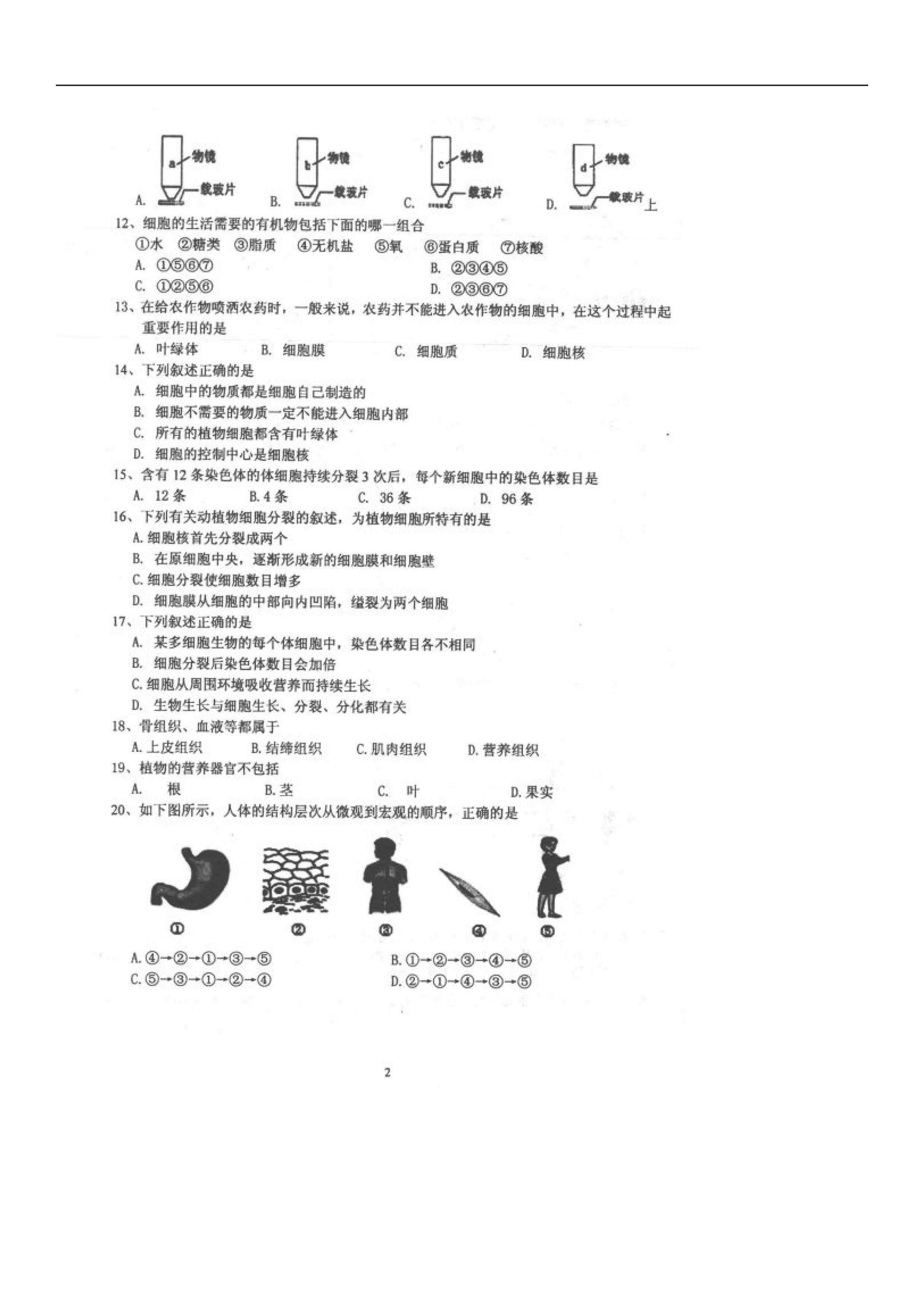 2019-2020辽宁阜新市实验中学七年级生物上册期中试题含答案