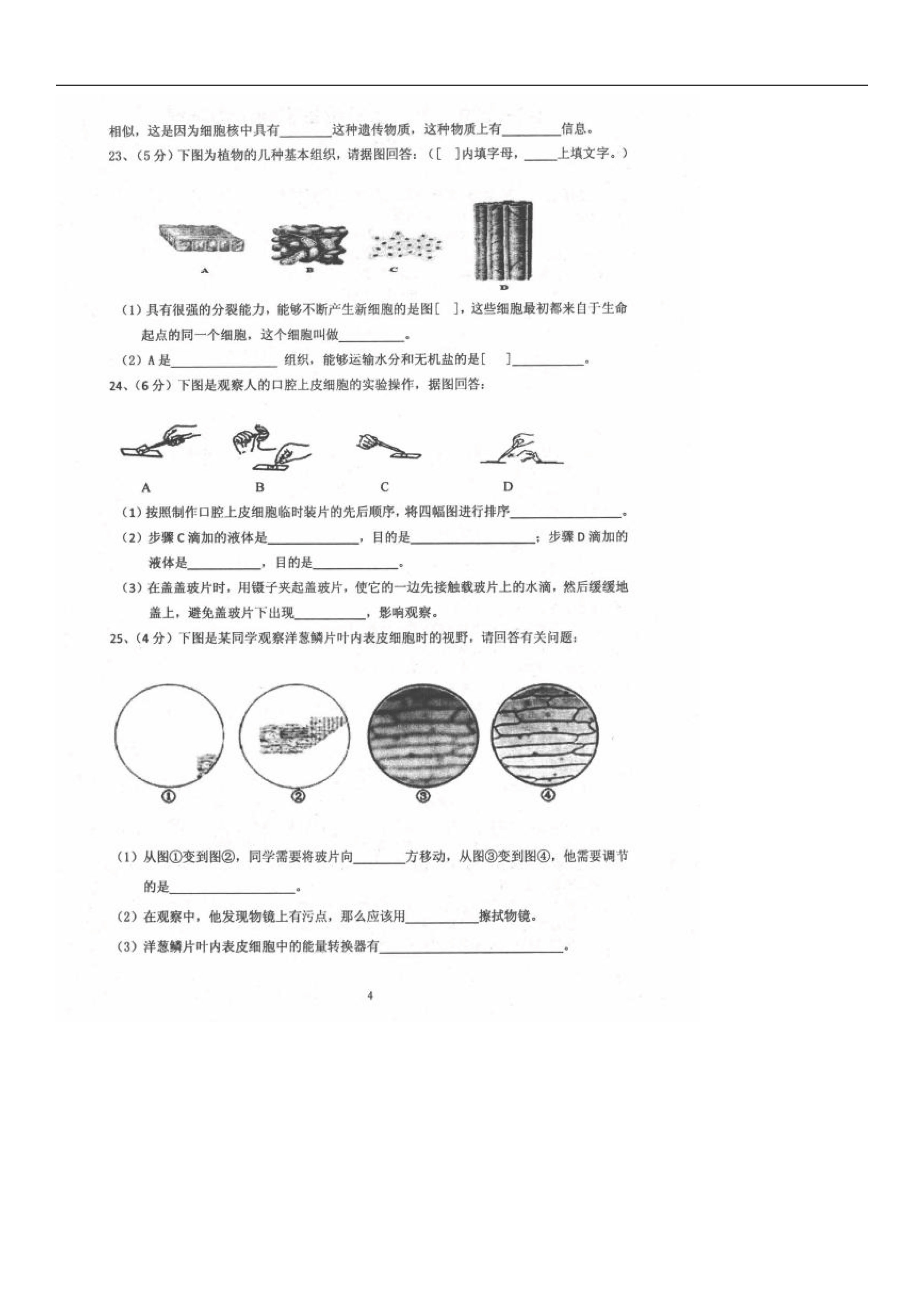 2019-2020辽宁阜新市实验中学七年级生物上册期中试题含答案