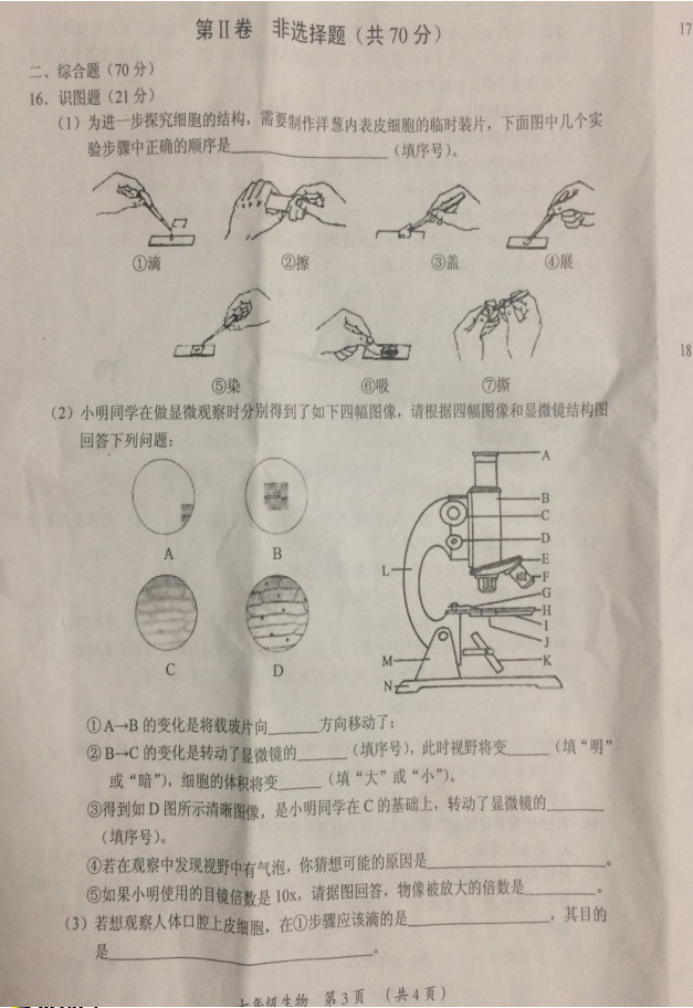 2019-2020山西大同市七年级生物上册期中试题含答案（图片版）