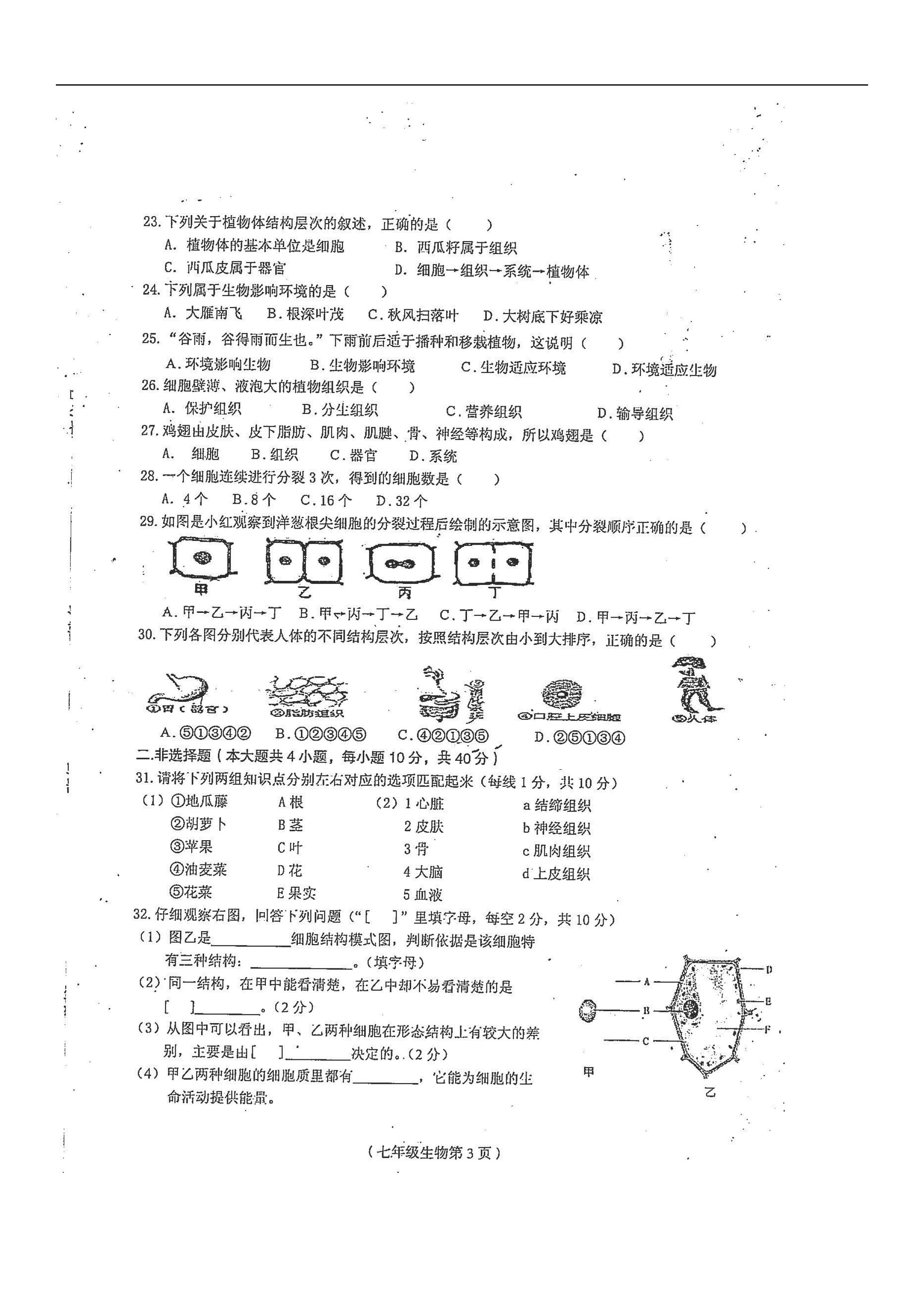 2019-2020海南省临高县二中七年级生物上册期中试题无答案