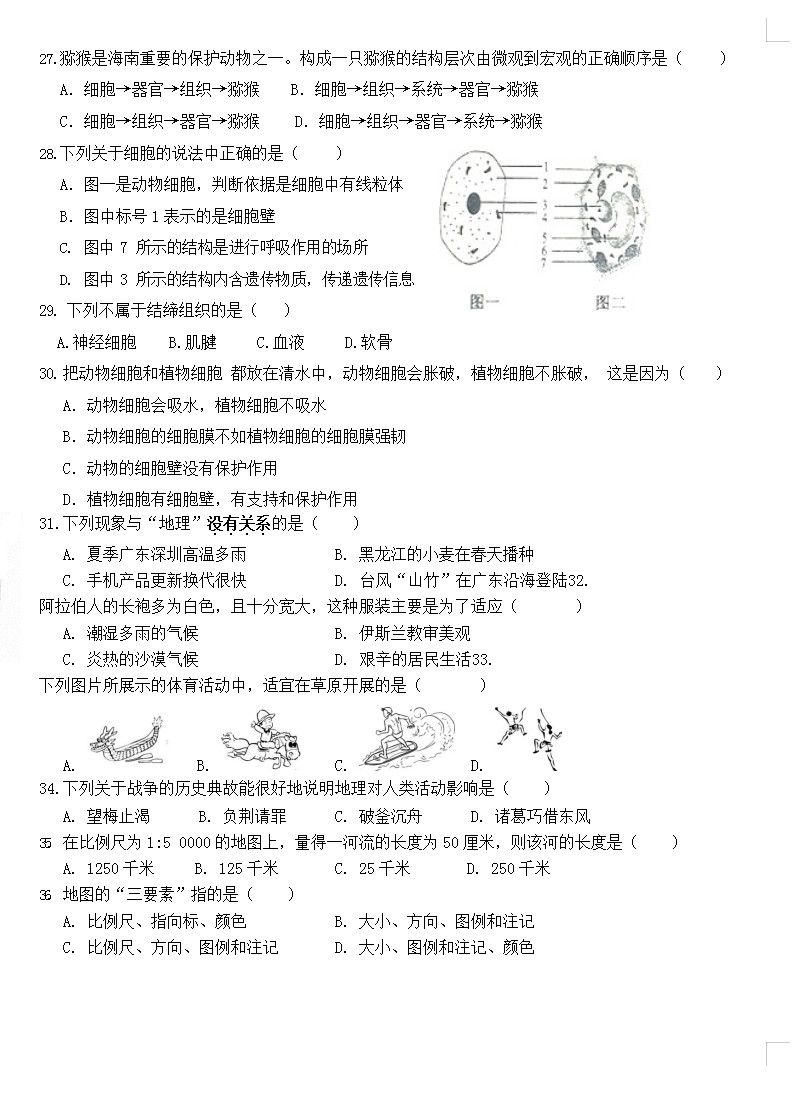 2019-2020深圳龙岗区德琳学校七年级地理上册期中试题无答案