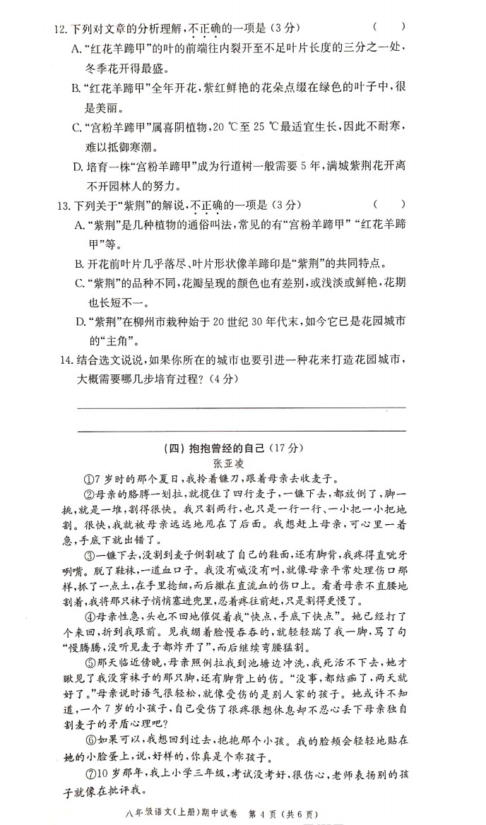 2019-2020广东省江门市八年级语文上册期中试题含答案