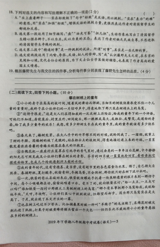 2019-2020湖南邵阳市八年级语文上册期中试题含答案（图片版）