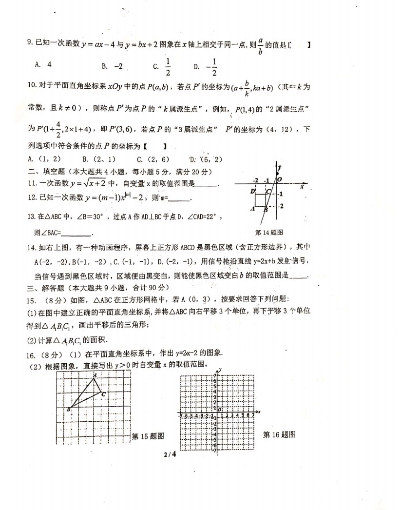 2019-2020安徽合肥市八年级数学上册期中试题无答案（图片版）