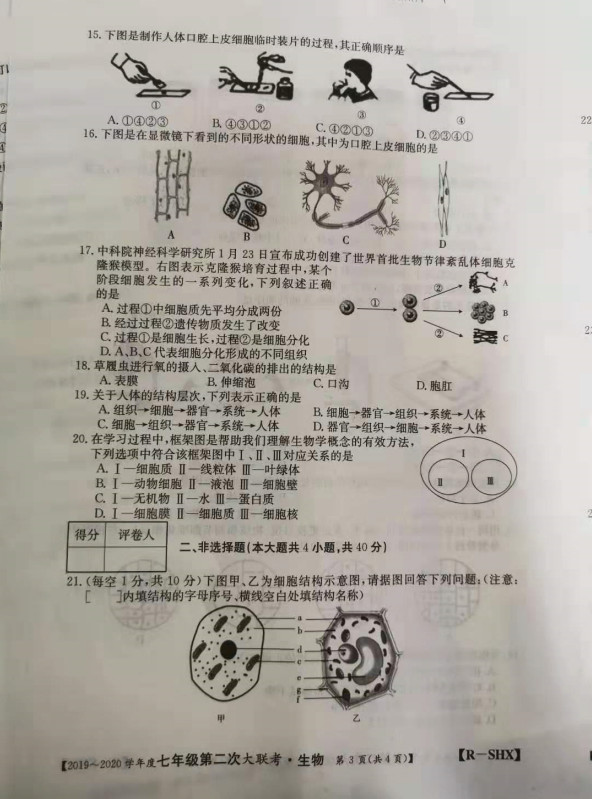 2019-2020山西圪达上中学七年级生物上册期中试题含答案（图片版）