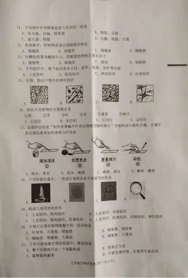 2019-2020江苏盐城市七年级生物上册期中试题无答案（图片版）