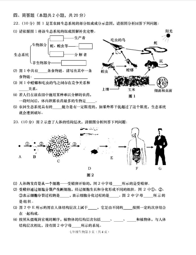 2019-2020辽宁大连市七年级生物上册期中试题无答案