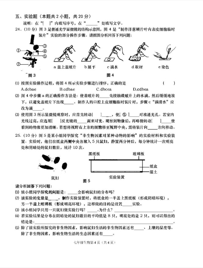 2019-2020辽宁大连市七年级生物上册期中试题无答案